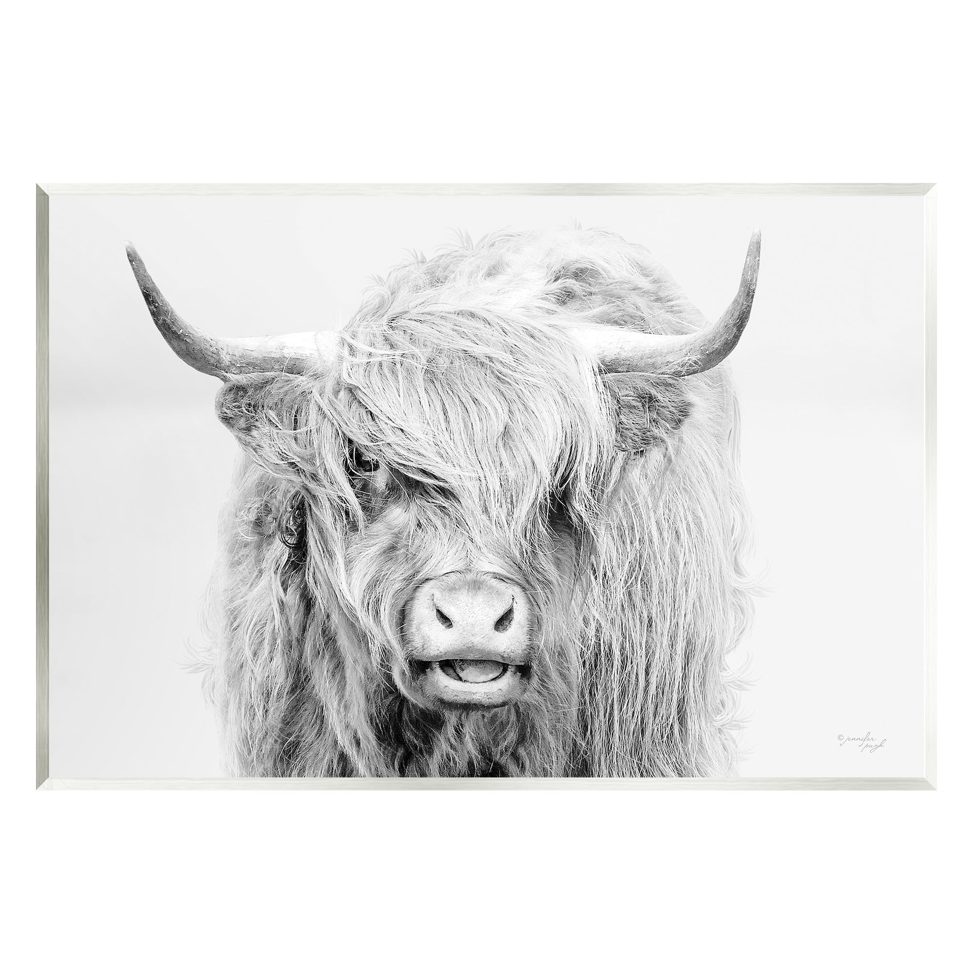 Colección de retratos de animales de Jennifer Pugh